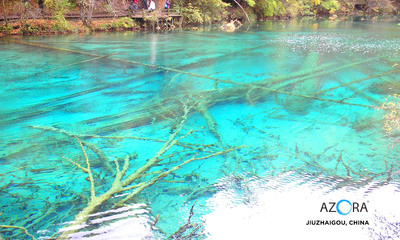 Medium china jiuzhaigou