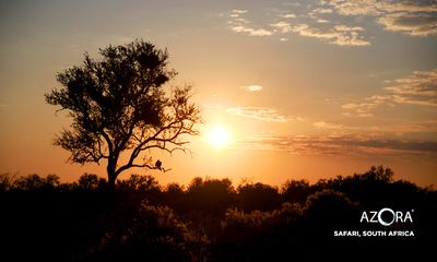 Medium africa safari9