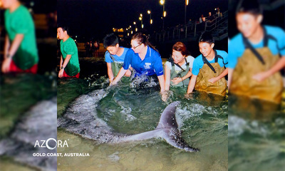 Medium australia goldcoast